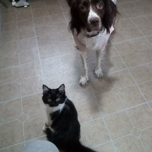 Meet your Posher, Natalie's vlogs